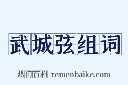武城弦组词是什么意思的图片